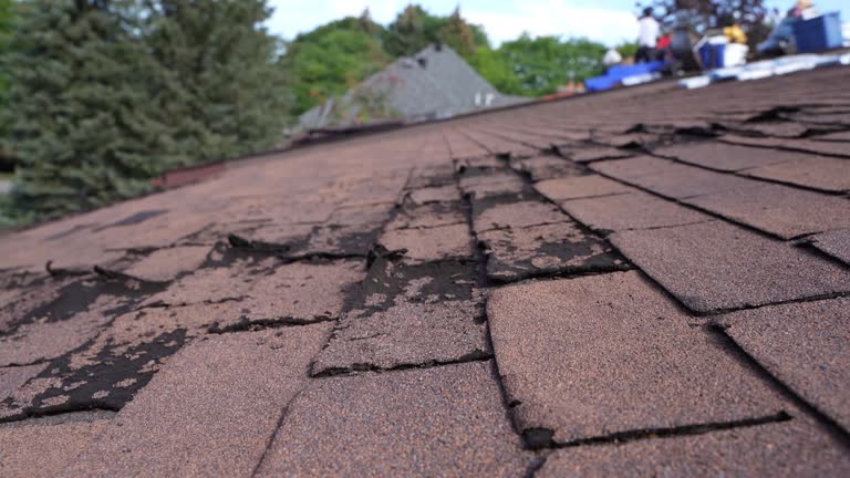 Best Rubber Roofing (EPDM, TPO)  in Prien, LA