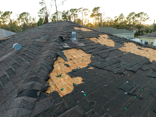 Steel Roofing in Prien, LA