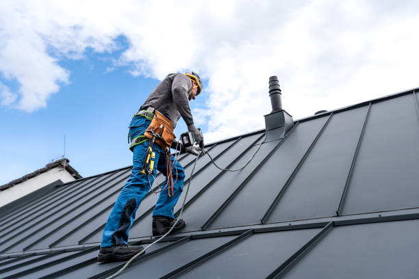 Best Siding  in Prien, LA